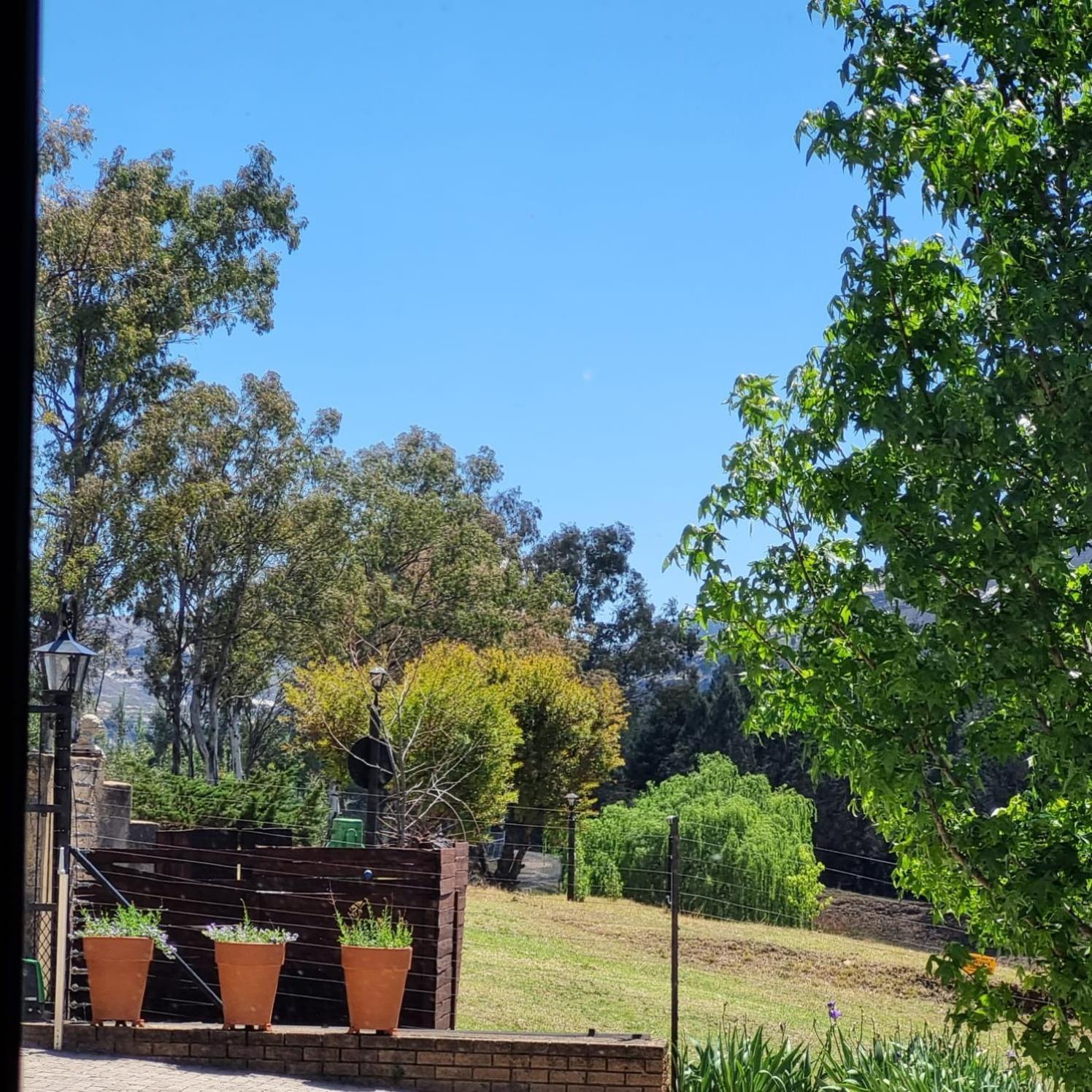The Fat Mulberry Guest Farm Hotel Fouriesburg Exterior foto